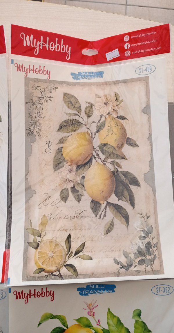 MYHOBBY SULU TRANSFER - Görsel 5