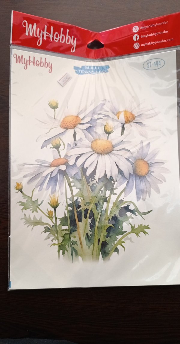 MYHOBBY SULU TRANSFER - Görsel 3