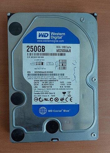 Arızalı 250gb Western Digital Harddisk 