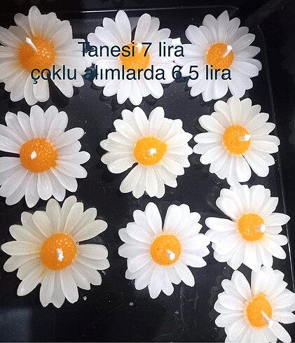 Papatya mum(tanesi 7)