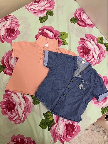 24-36 ay Polo tshirt ve gömlek