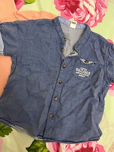 LC Waikiki 24-36 ay Polo tshirt ve gömlek