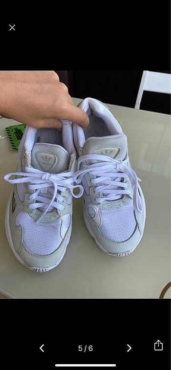 Adidas falcon