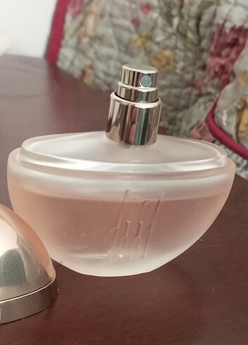 Cerutı kadın parfum