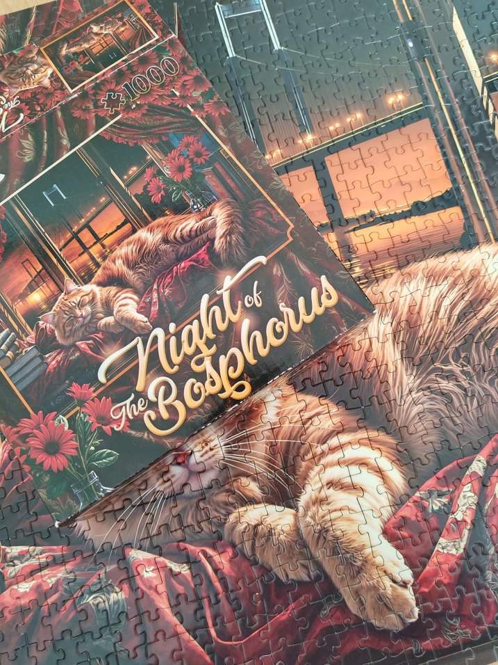 1000 parça puzzle - Görsel 4