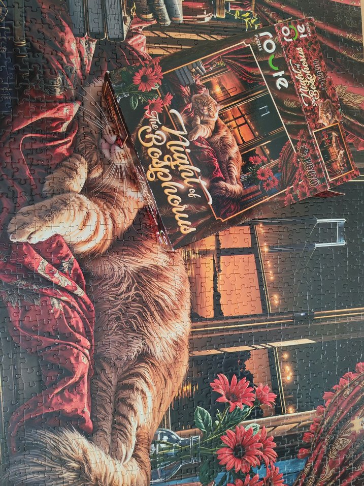 1000 parça puzzle - Görsel 5