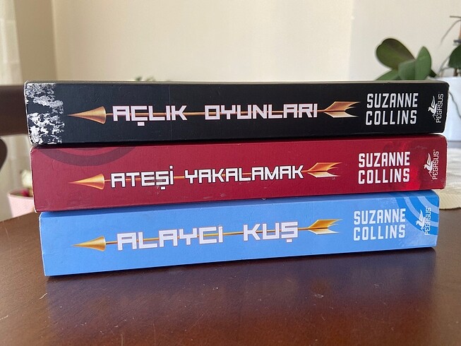 AÇLIK OYUNLARI SERİSİ
