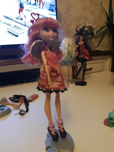  Ever after high