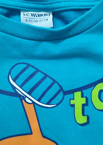 Turkuaz Baskılı Erkek Çocuk Sweatshirt - Görsel 3