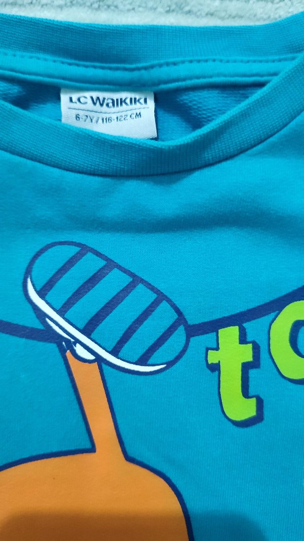 Turkuaz Baskılı Erkek Çocuk Sweatshirt - Görsel 3