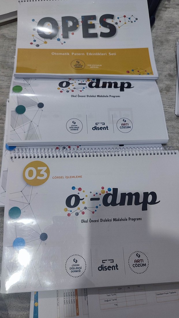 okul öncesi disleksi müdahale egitimi - Görsel 3
