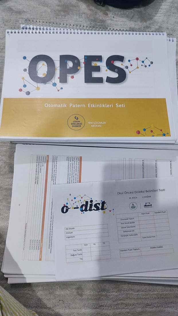 okul öncesi disleksi müdahale egitimi - Görsel 2