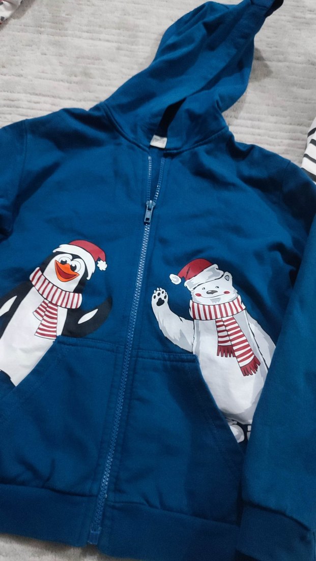 Erkek Çocuk Kapüşonlu Fermuarlı kazak ve sweatshirt - Görsel 4