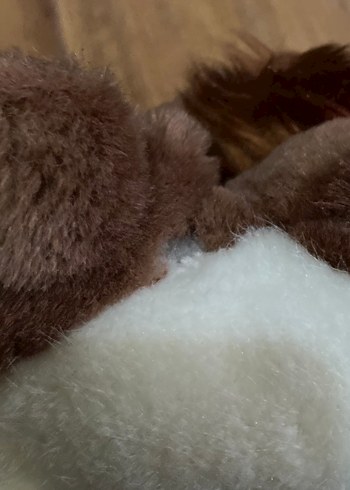 Yatan Aslan Peluş En: 10 cm Boy : 16 cm Vücut uzunluğu: 30 cm - Görsel 8