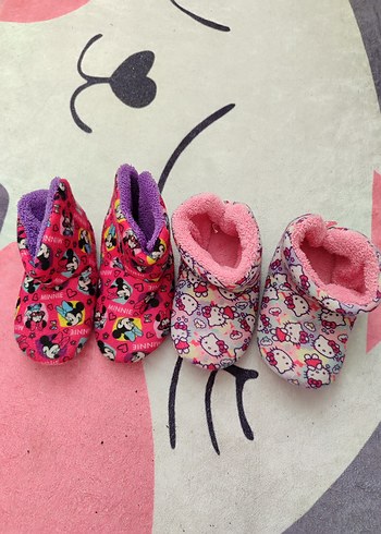 Walt Disney World 25