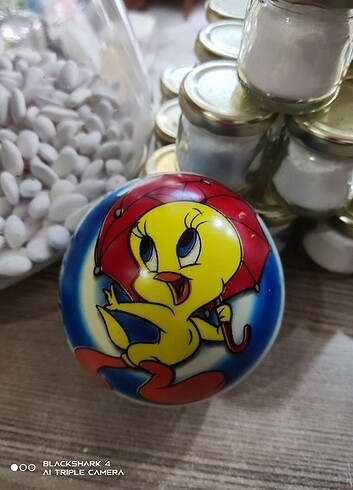TWEETY PVC TOP