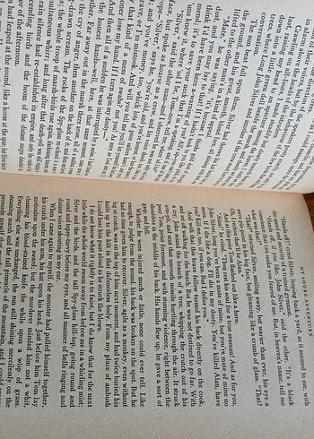 Define Adası - R.L. Stevenson - Görsel 8