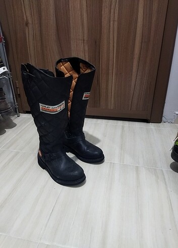 38 Beden Harley Davidson bot