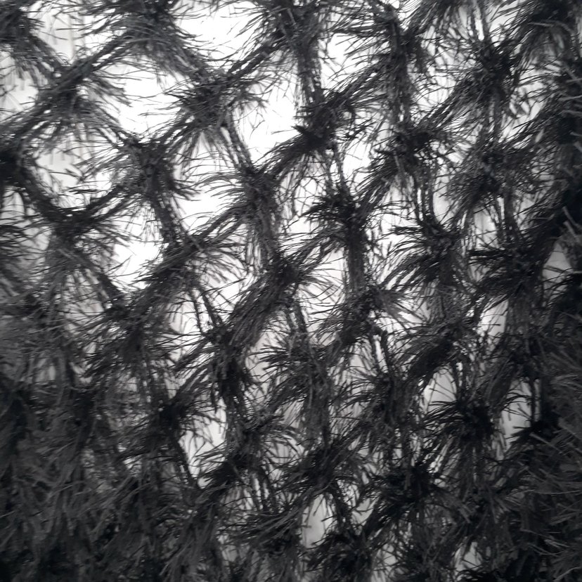 Siyah Örgü Kadın şal - Görsel 3