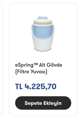 amway e spring su aritici - Görsel 8