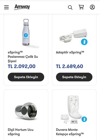 amway e spring su aritici - Görsel 5