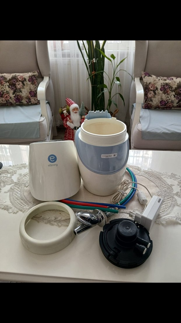 amway e spring su aritici - Görsel 4