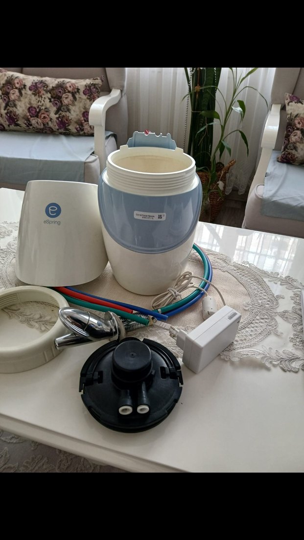 amway e spring su aritici - Görsel 3