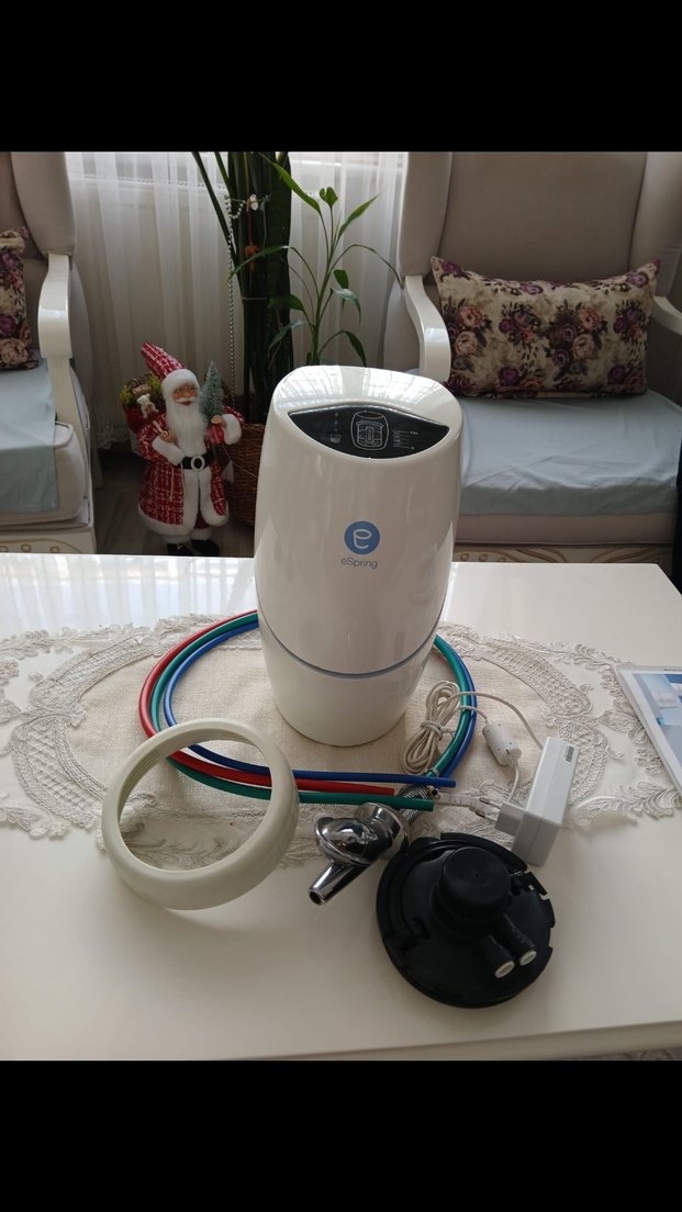 amway e spring su aritici - Görsel 2