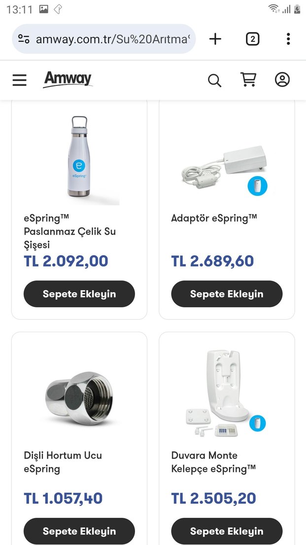 amway e spring su aritici - Görsel 5