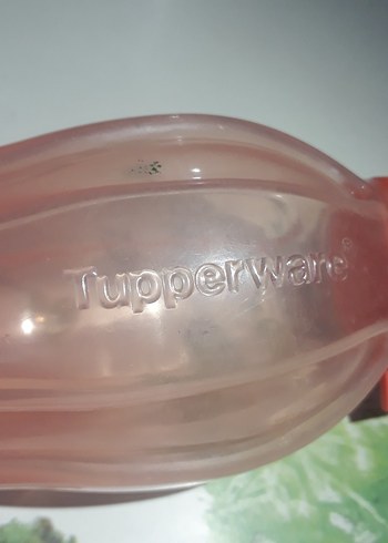 somon rengi tapurway suluk - Görsel 5