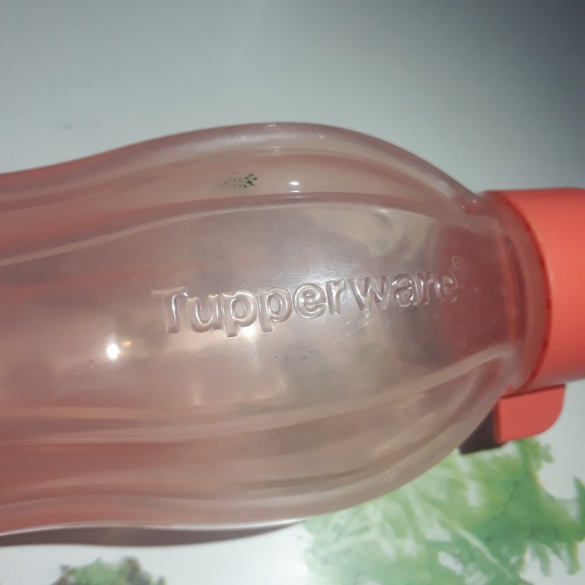 somon rengi tapurway suluk - Görsel 5