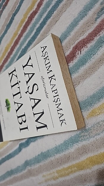 Beden Renk Yaşam Kitabı