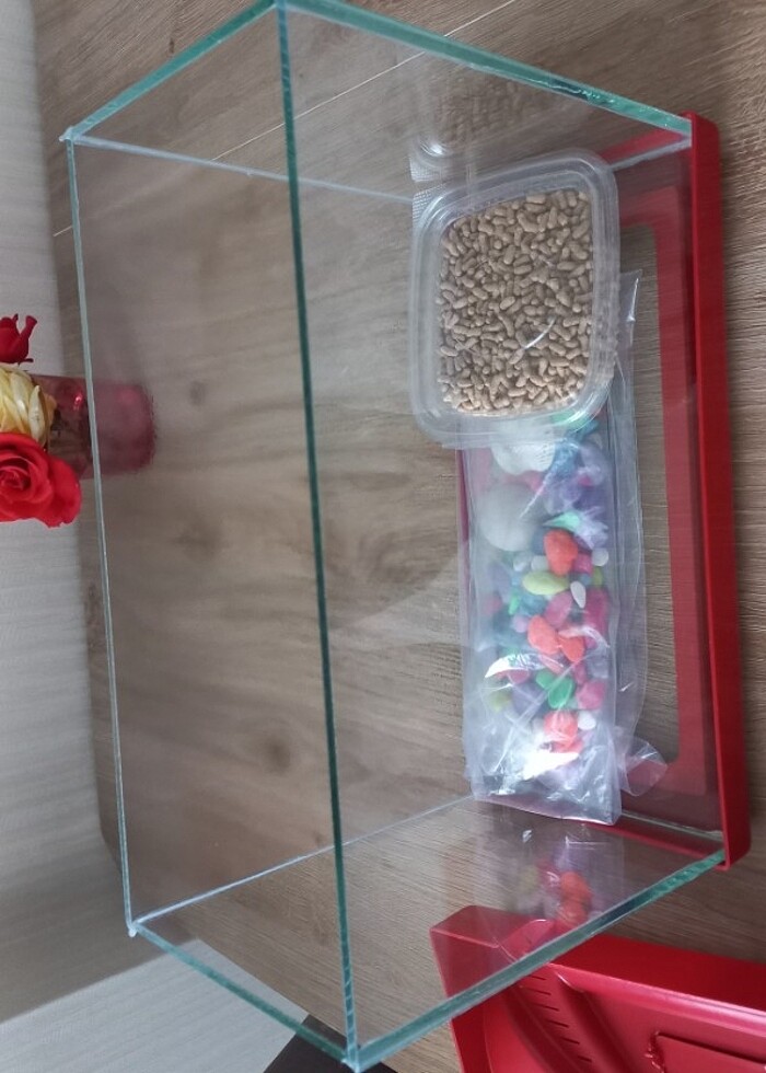 Akvaryum  - Görsel 2