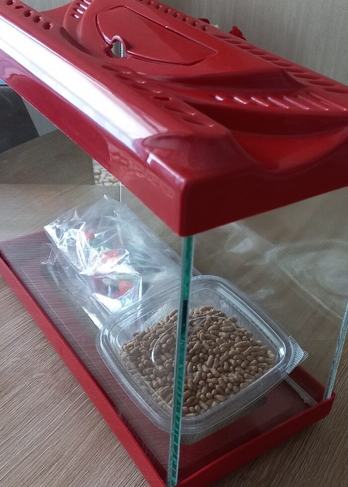 Akvaryum  - Görsel 3