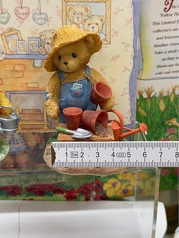 Beden TEDDY BEAR