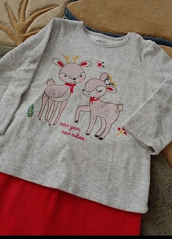 4 Yaş Beden Pijama Takımı
