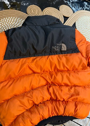 The North Face Turuncu Erkek Mont - Görsel 4