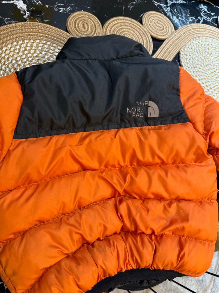 The North Face Turuncu Erkek Mont - Görsel 4