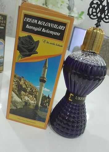 Karagül kolanyası - Görsel 2