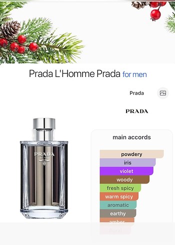 Prada L'Homme Erkek Parfümü - Görsel 3