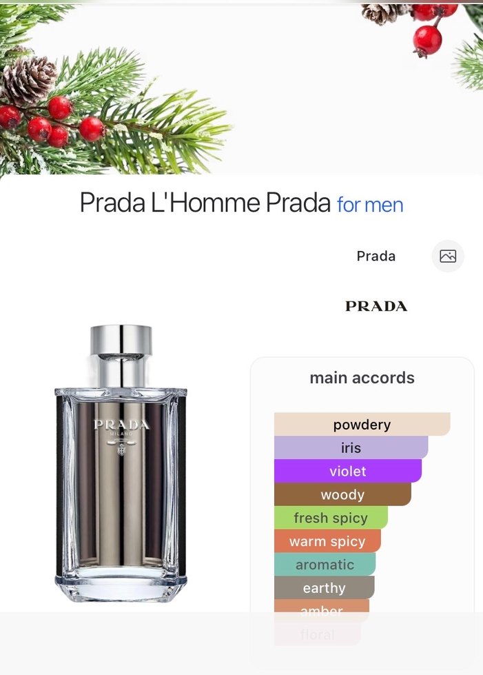 Prada L'Homme Erkek Parfümü - Görsel 3