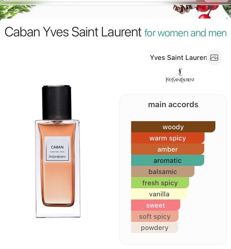 Yves Saint Laurent Caban 125 ml edp - Görsel 3