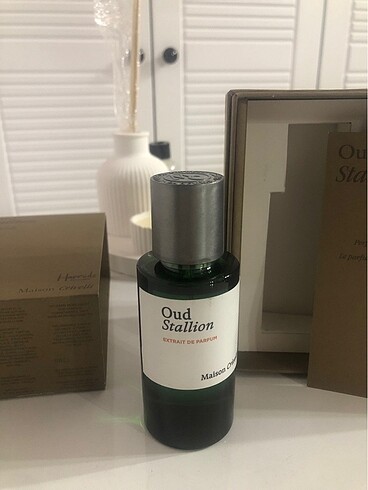 Beden Maison crivelli oud stallion