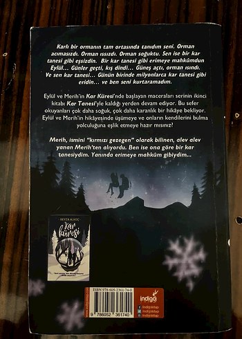 kar tanesi - Görsel 2