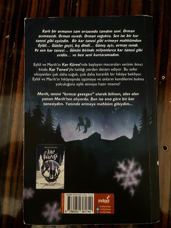 kar tanesi - Görsel 2