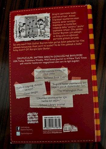 Saftirik Greg'in Günlüğü: Karışık İşler Bunlar! - Görsel 2
