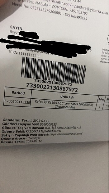 Beden Pandora Charm