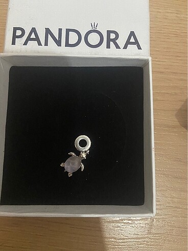 Kaplumbağa Charm