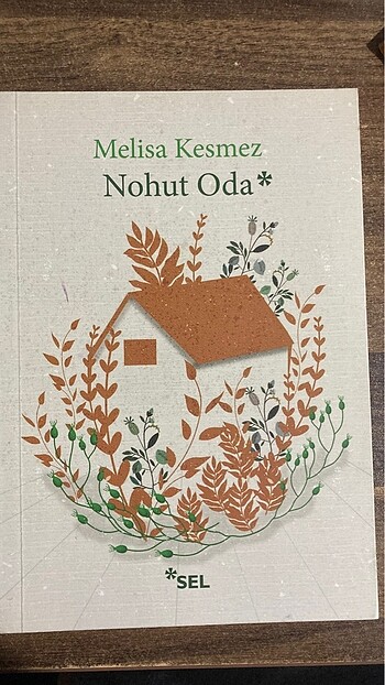 nohut oda