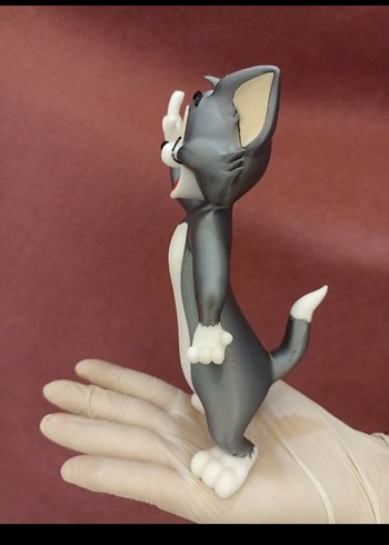 Tom Figürü 3D